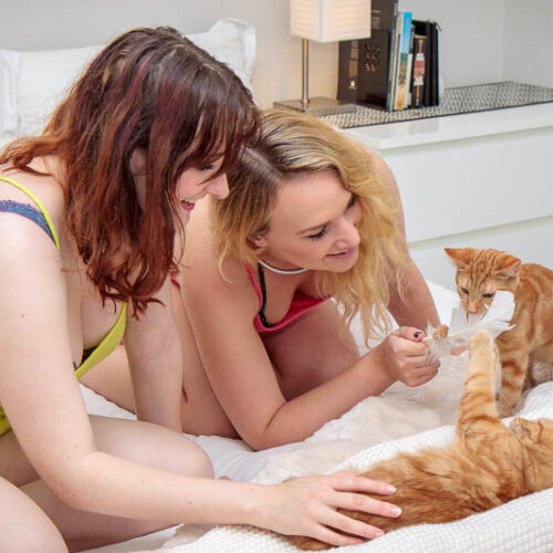 Kim Cums: Behind the Scenes with Kittens