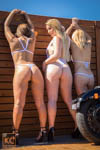 Three Wicked Weasel Bums