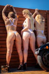 Wicked Weasel Pool Trio Ass